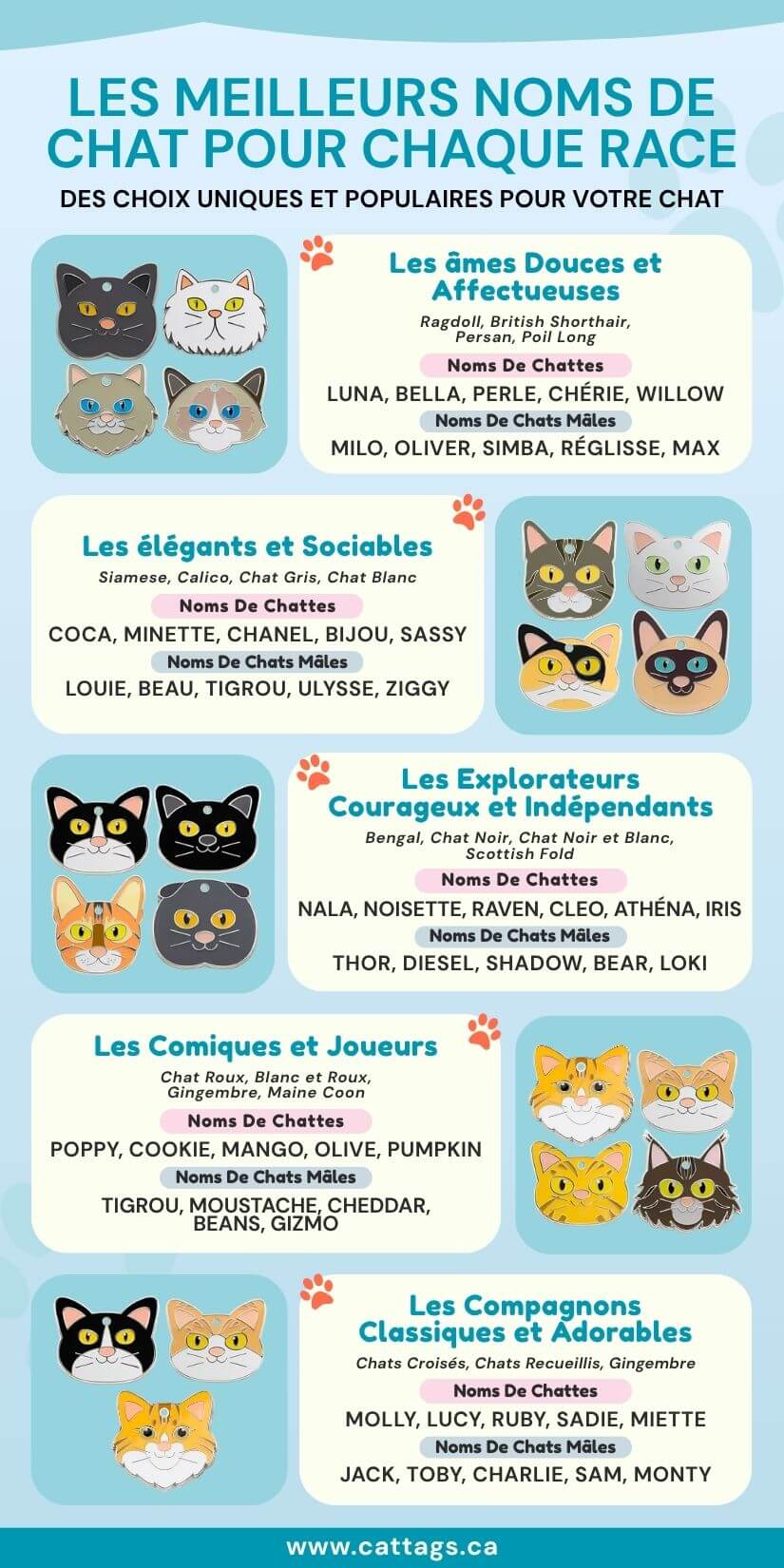 Guide visuel avec des idées de noms pour chaton selon la race et la personnalité, avec médailles pour chat gravées assorties.